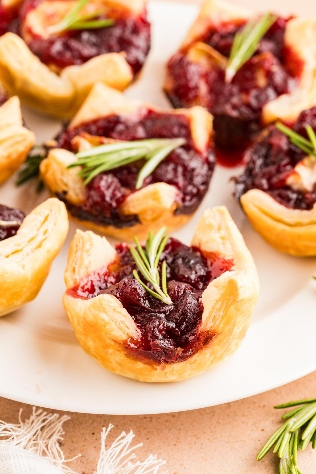 Cranberry Brie in Puff Pastry