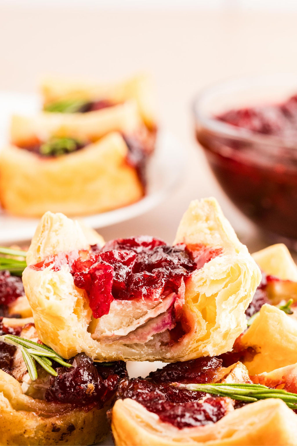 Cranberry Brie in Puff Pastry