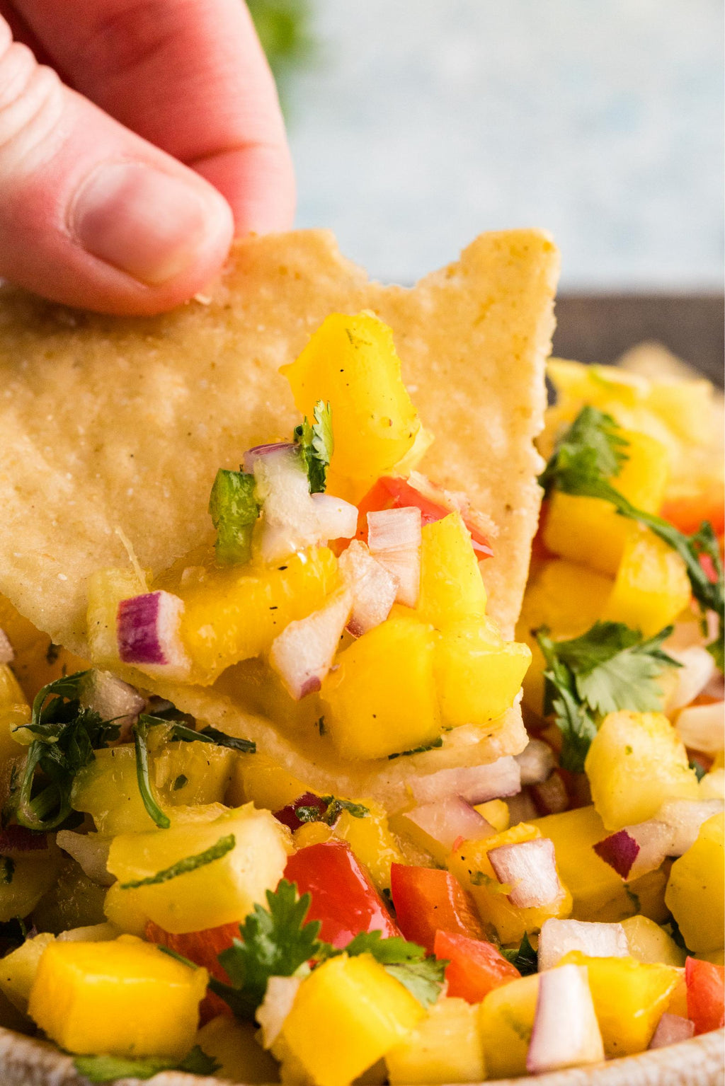 Mango Pineapple Salsa + Optional 16sec Reel
