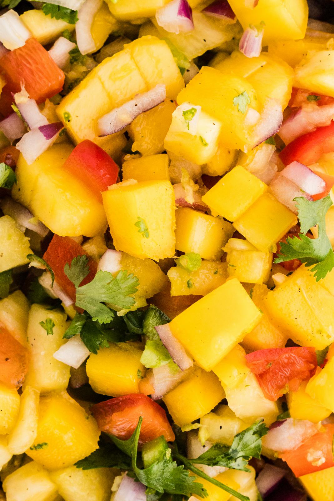 Mango Pineapple Salsa + Optional 16sec Reel